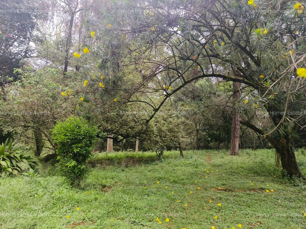 Residential Land in Kitisuru - 8