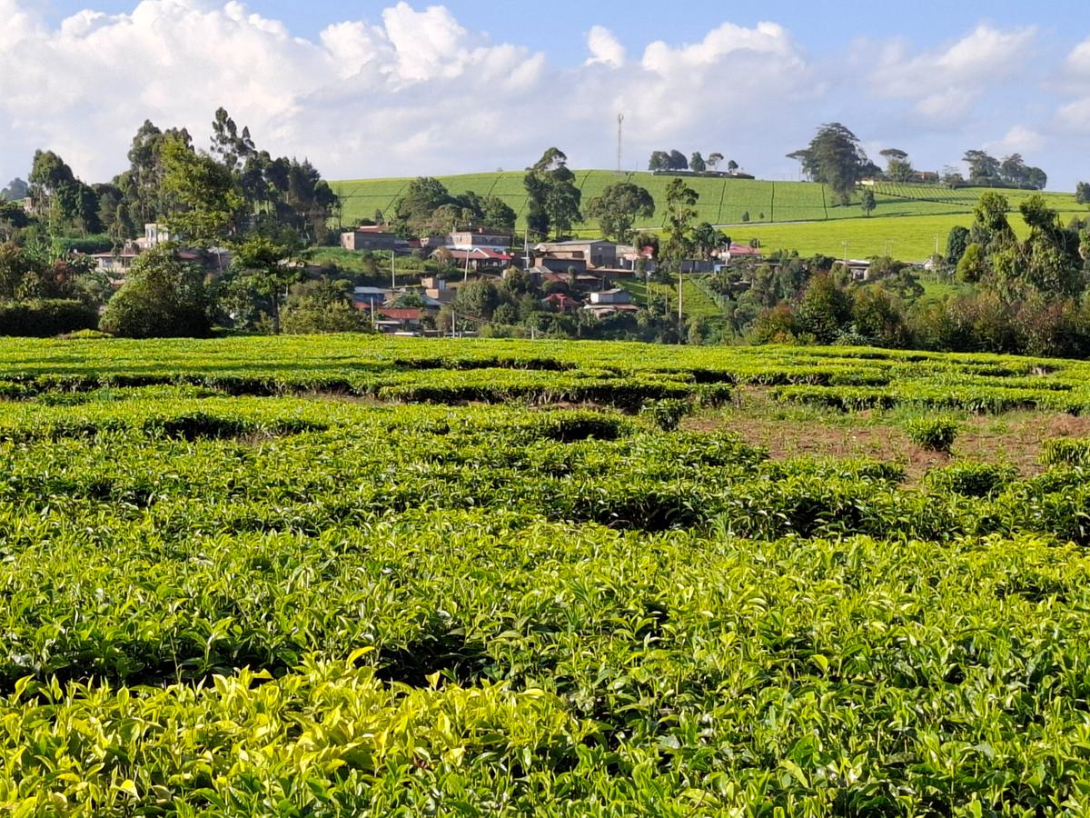 Land in Limuru - 5