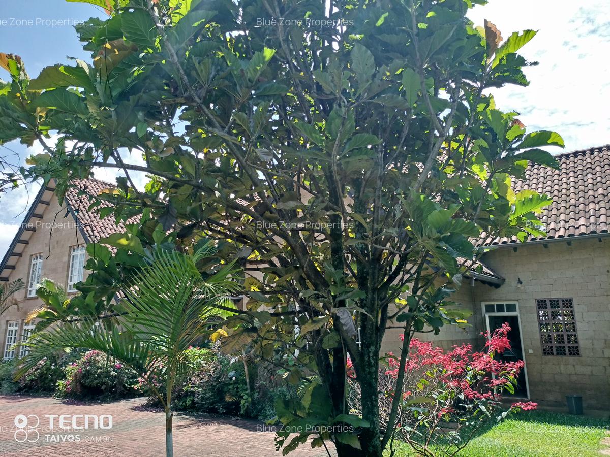 3 Bed House with En Suite at Off Benin Dr - 6