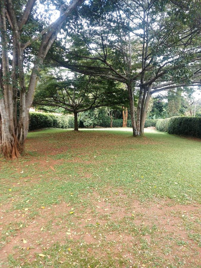 Residential Land in Lavington - 3