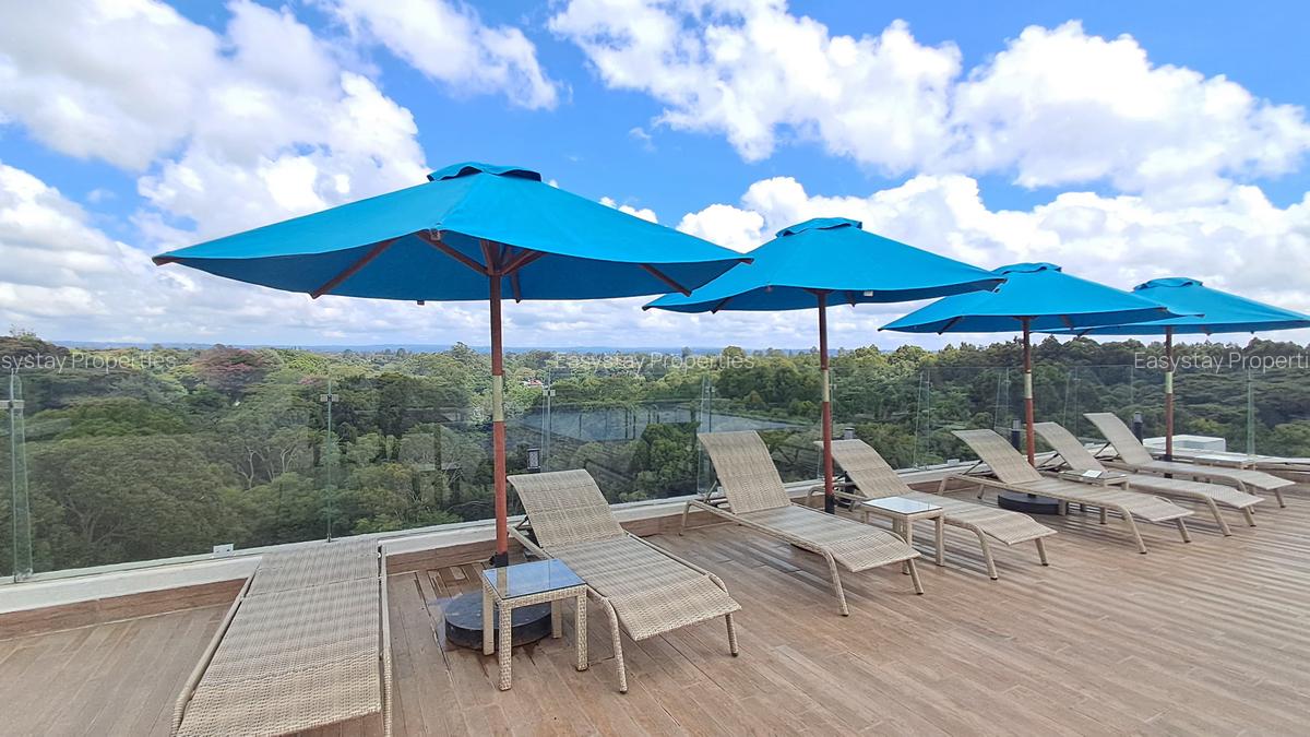 4 Bed Apartment with En Suite in Spring Valley - 12