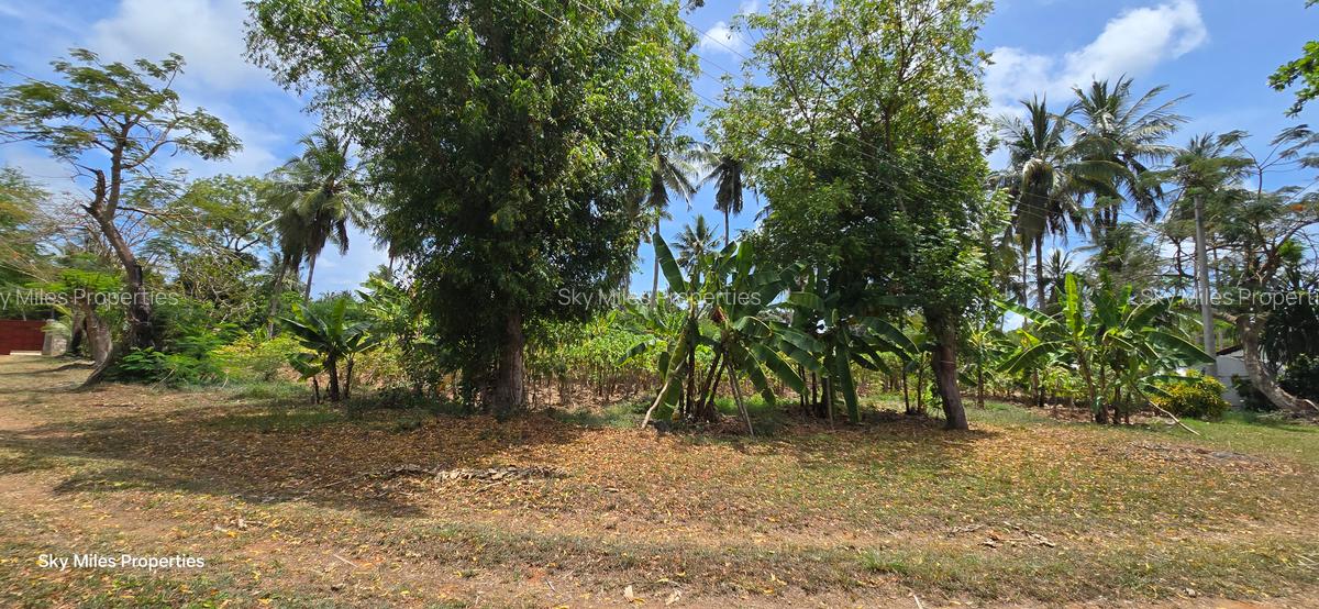 6 ac Land at Bomani - 7