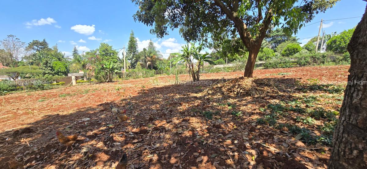 Residential Land at Flem Tree - 17