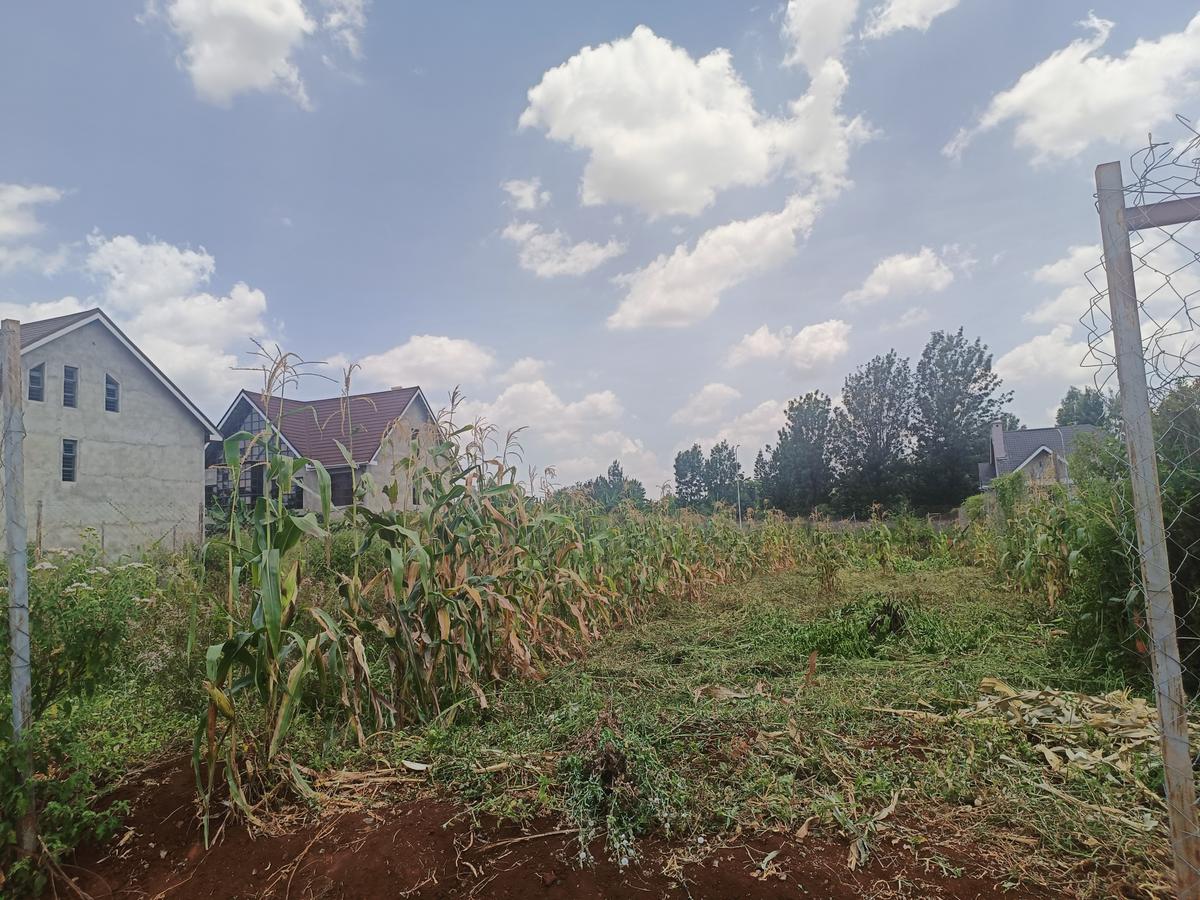 0.05 ac Land at Mushroom Kagera - 7