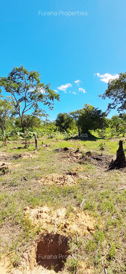 Land at Msambweni - 10