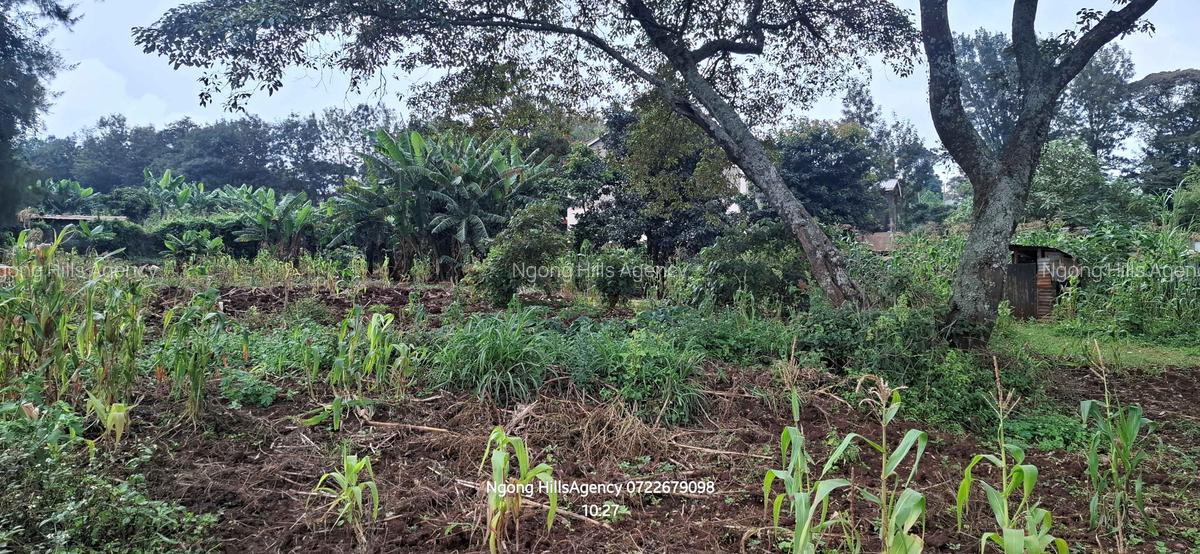 Commercial Land in Ngong - 5