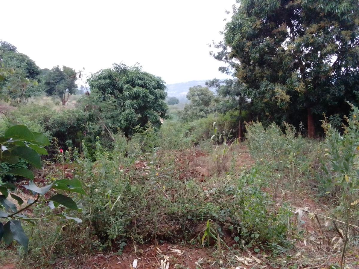 9 ac Land at Ithanga - 17