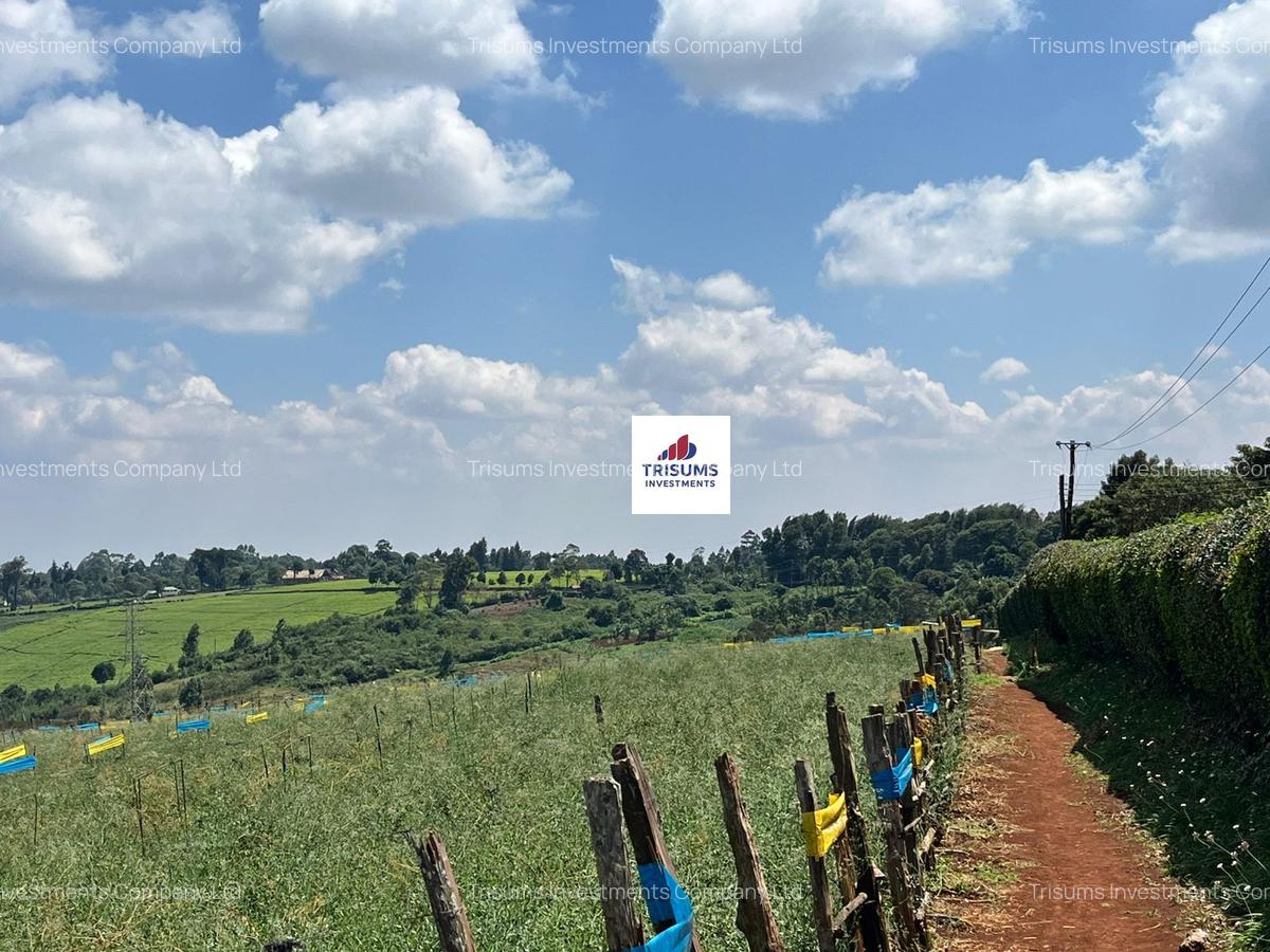 16.5 ac Land in Tigoni - 5