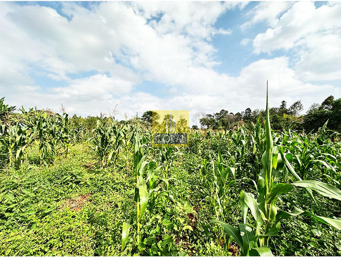 Land in Ruiru - 3