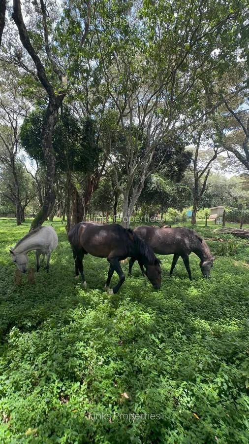 2 Bed House with En Suite at Karen - 4