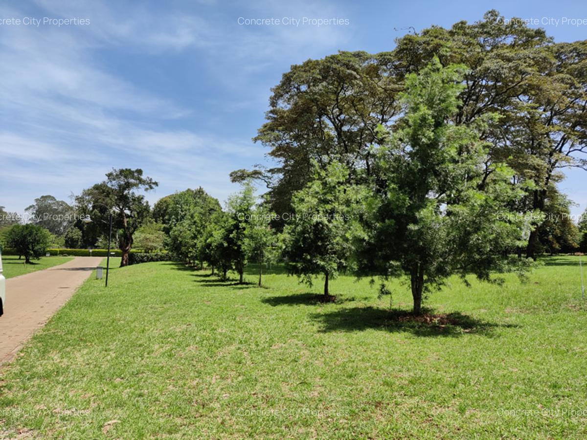 1 ac Land in Karen - 1