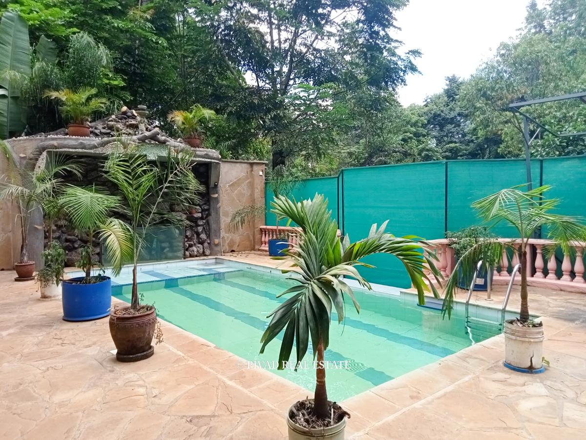4 Bed House with Swimming Pool in Spring Valley - 12