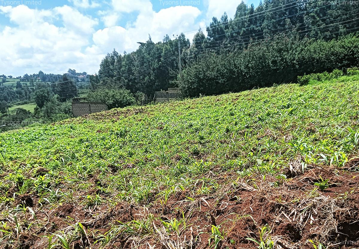0.669 ac Land in Kikuyu Town - 2