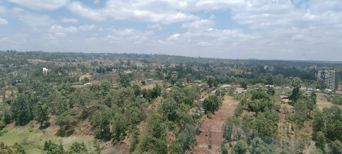 1 Bed Apartment with Backup Generator in Ruaka - 10