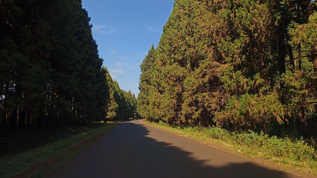 0.1 ac Residential Land at Kikuyu - 2