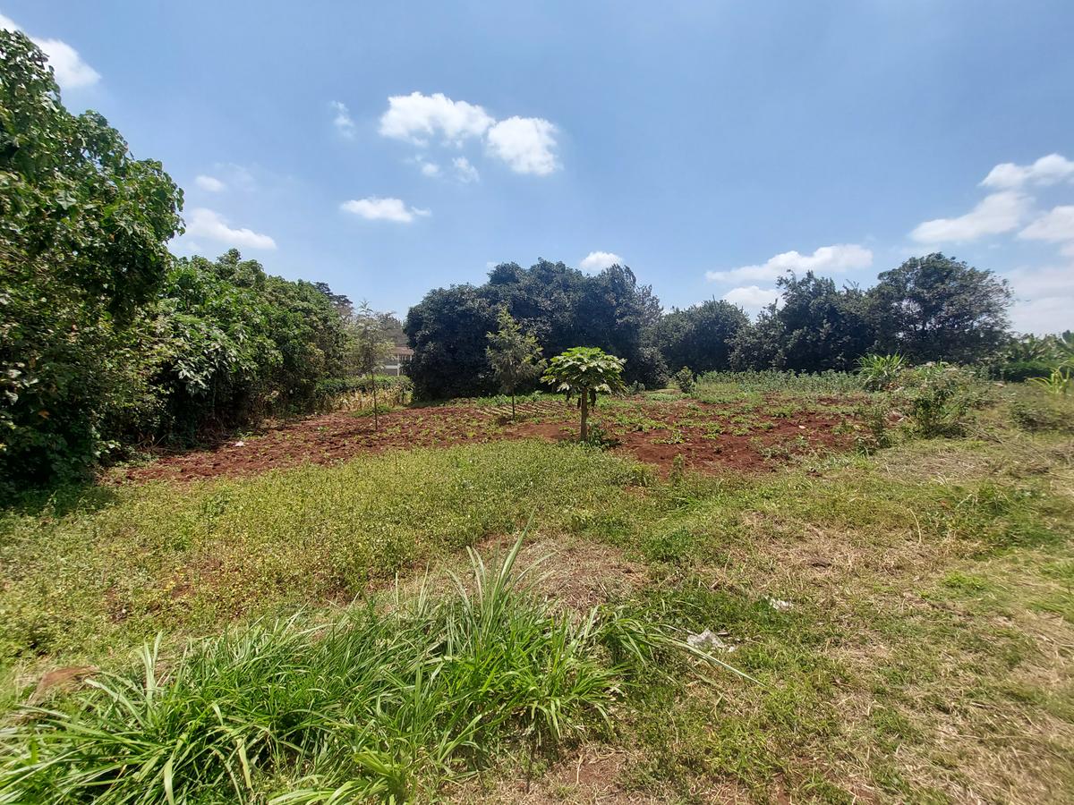 Residential Land at Kinanda Road - 9