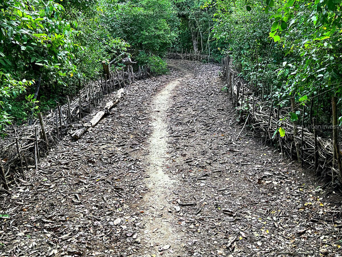 8,093.72 m² Land in Mtwapa - 18