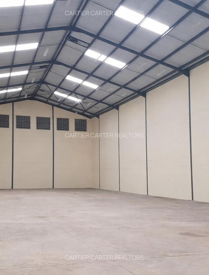22,596 ft² Warehouse with Parking at Lunga Lunga 61 Street - 4