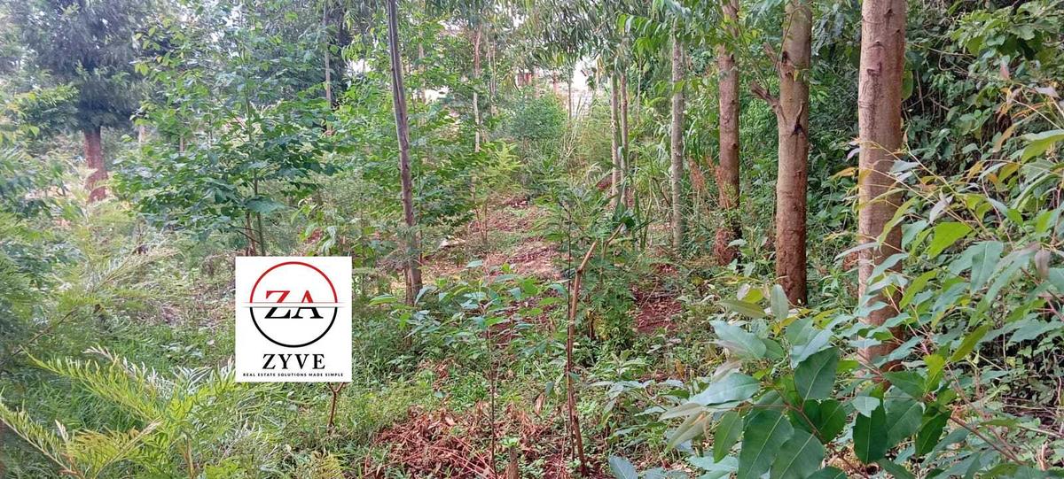 0.125 ac Land at Kasphat Estate - 3