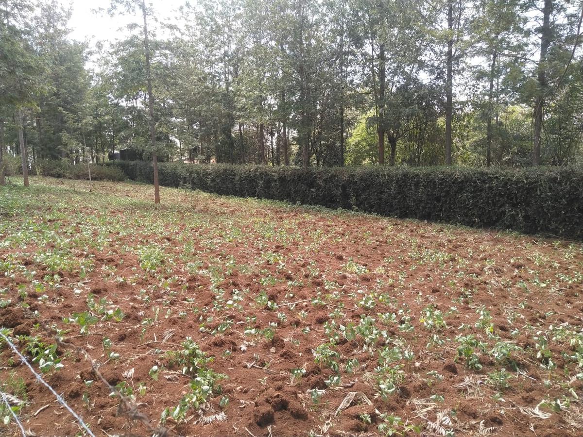 0.113 ac Land in Ngong - 5