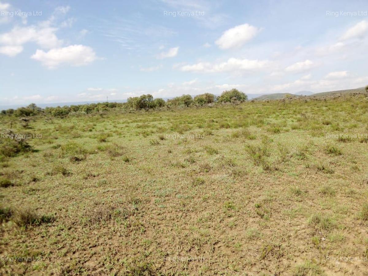 Land in Naivasha - 5