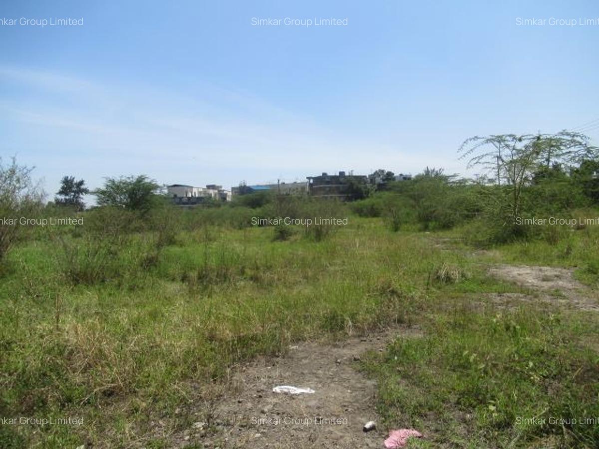 23,796 m² Commercial Land at Nyasa Road - 10