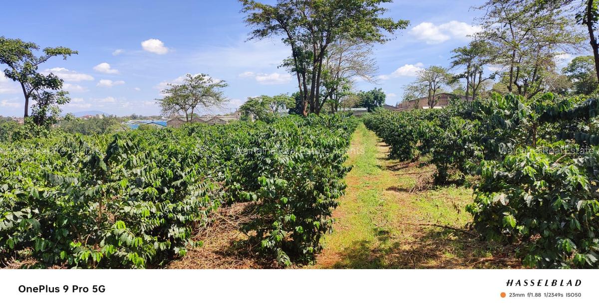 17.6 ac Commercial Land at Kamiti Road - 5