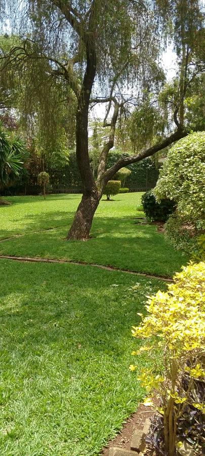 Land in Ngong Road - 11