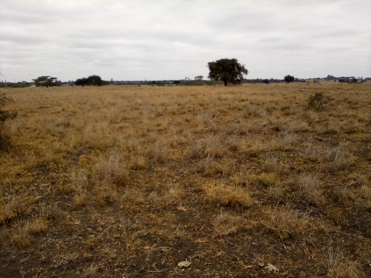 30 ac Land at Off Namanga Rd - 9