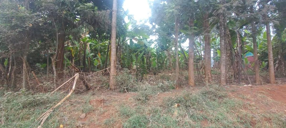 0.75 ac Land at Thindigua - 3