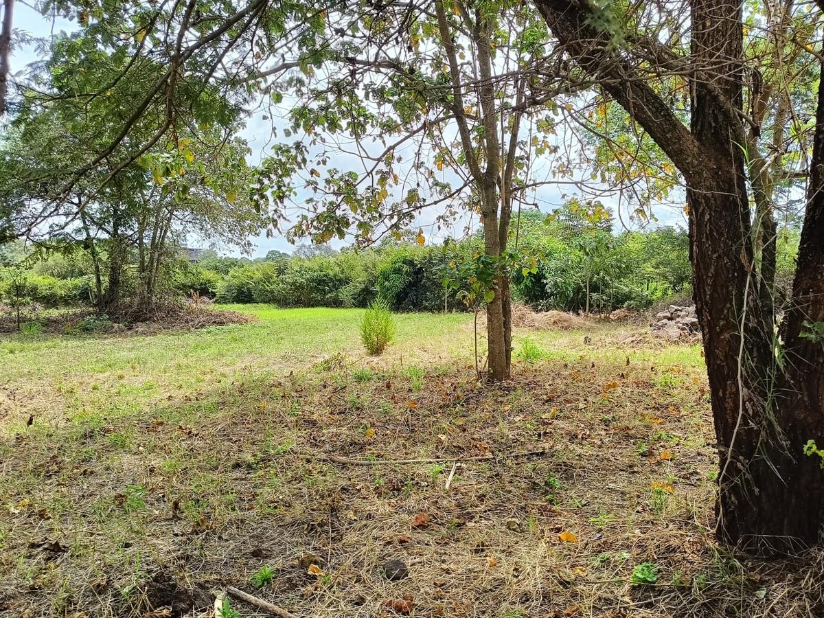 Residential Land at Kijani Ridge - 14