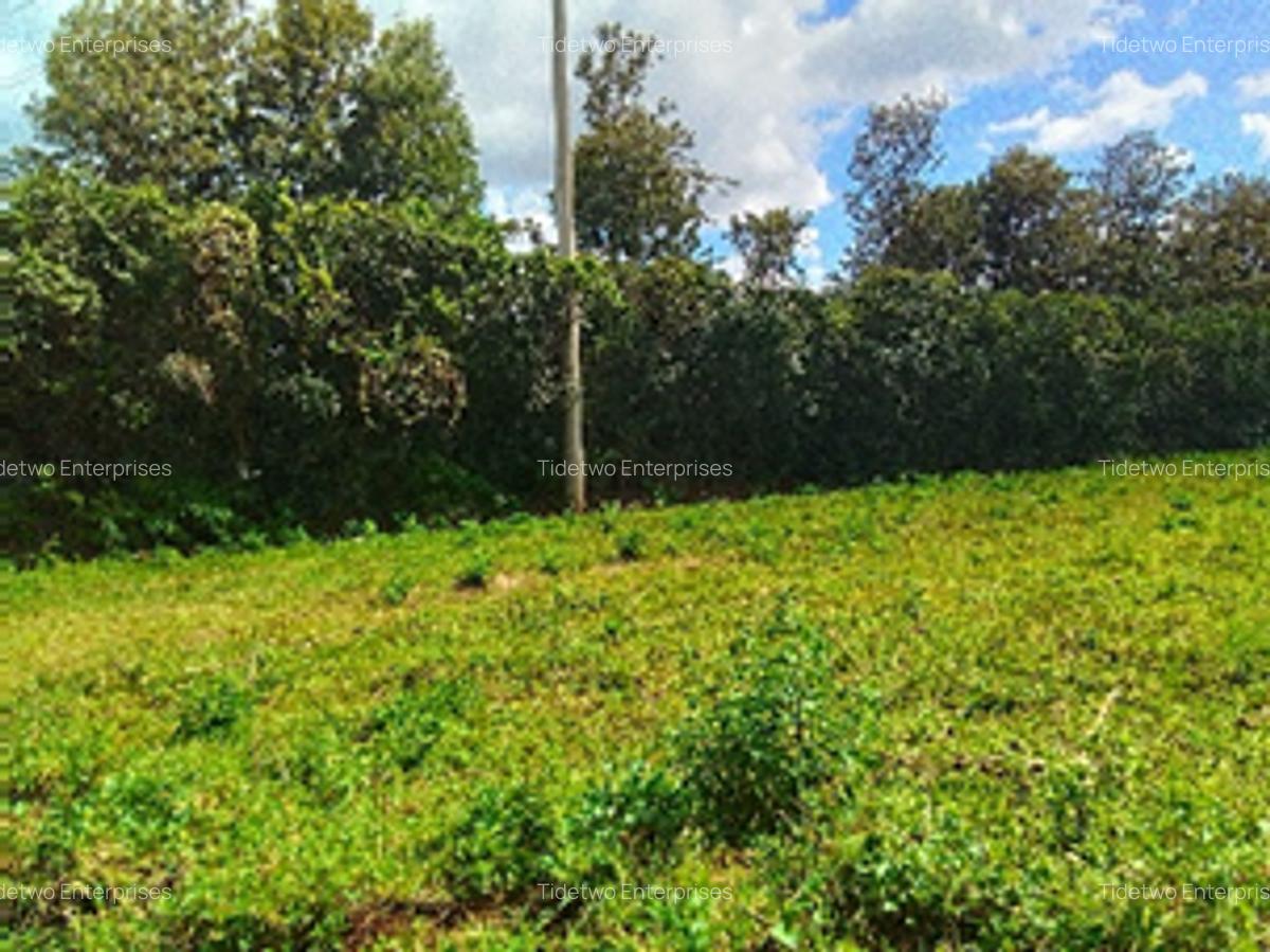 Land in Kikuyu Town - 1