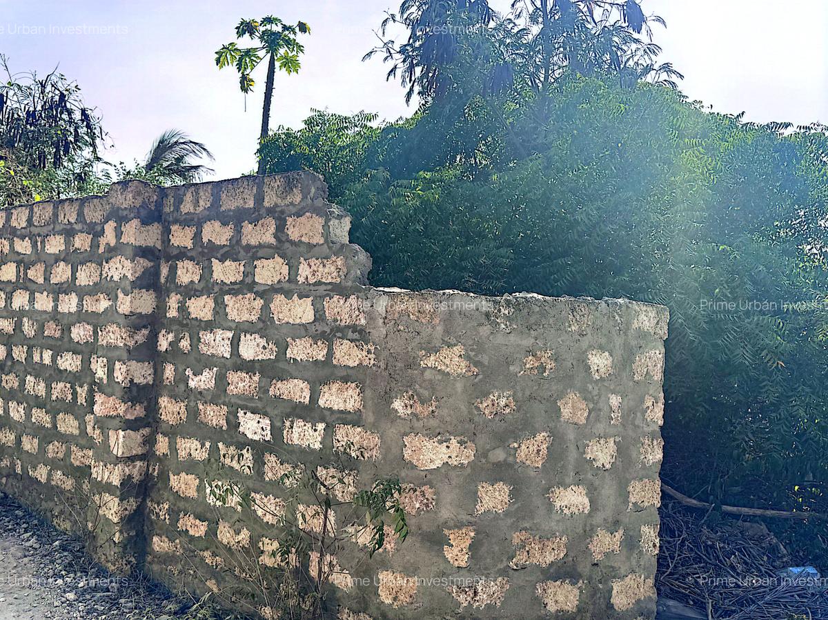 900 m² Land at Watamu 3Rd Row Beach - 6