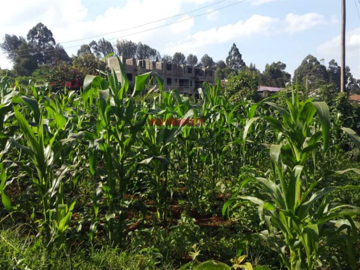 250 m² Commercial Land in Kikuyu Town - 8