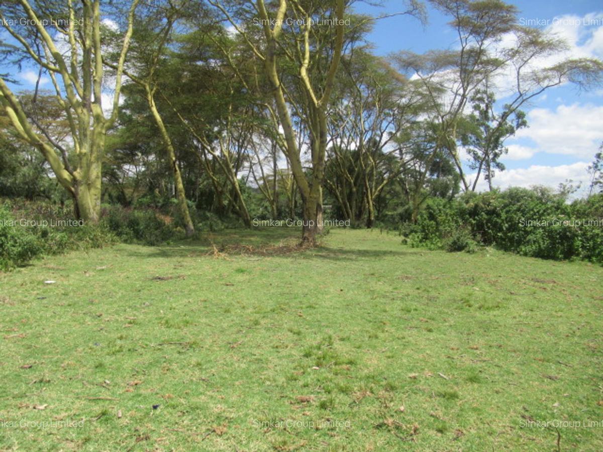 25 ac Land at Moi S Lake Rd - 16