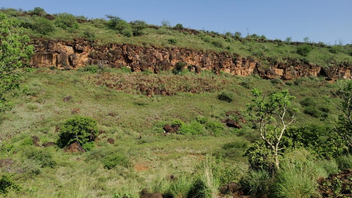 100 ac Land at Olepolos - 12