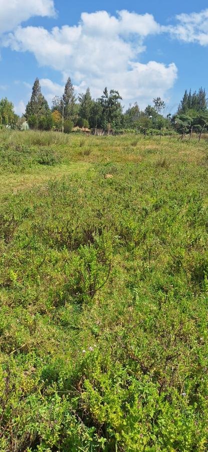 0.25 ac Land at Kerarapon - 3