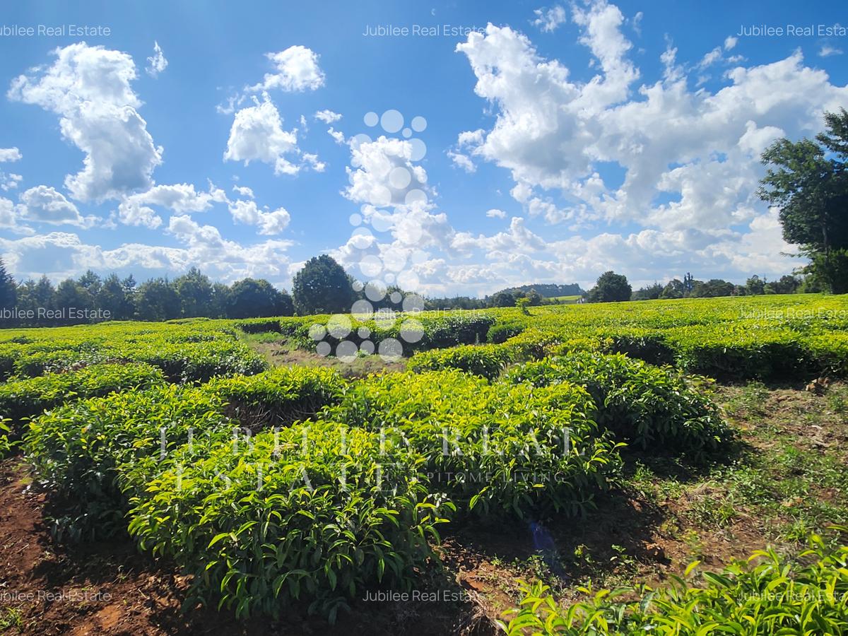 12 ac Land in Tigoni - 4