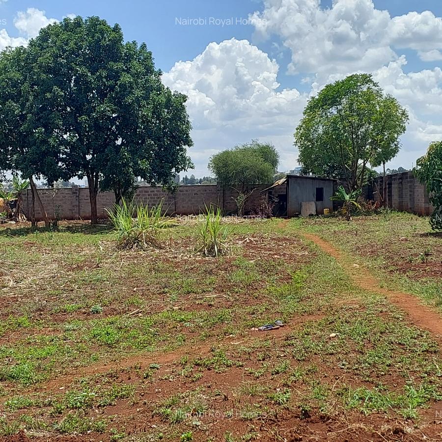 Residential Land at Flem Tree Off Ruaka Road - 15