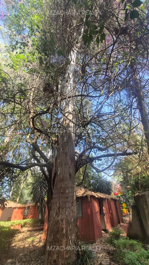 0.8 ac Commercial Property with Backup Generator in Kileleshwa - 10