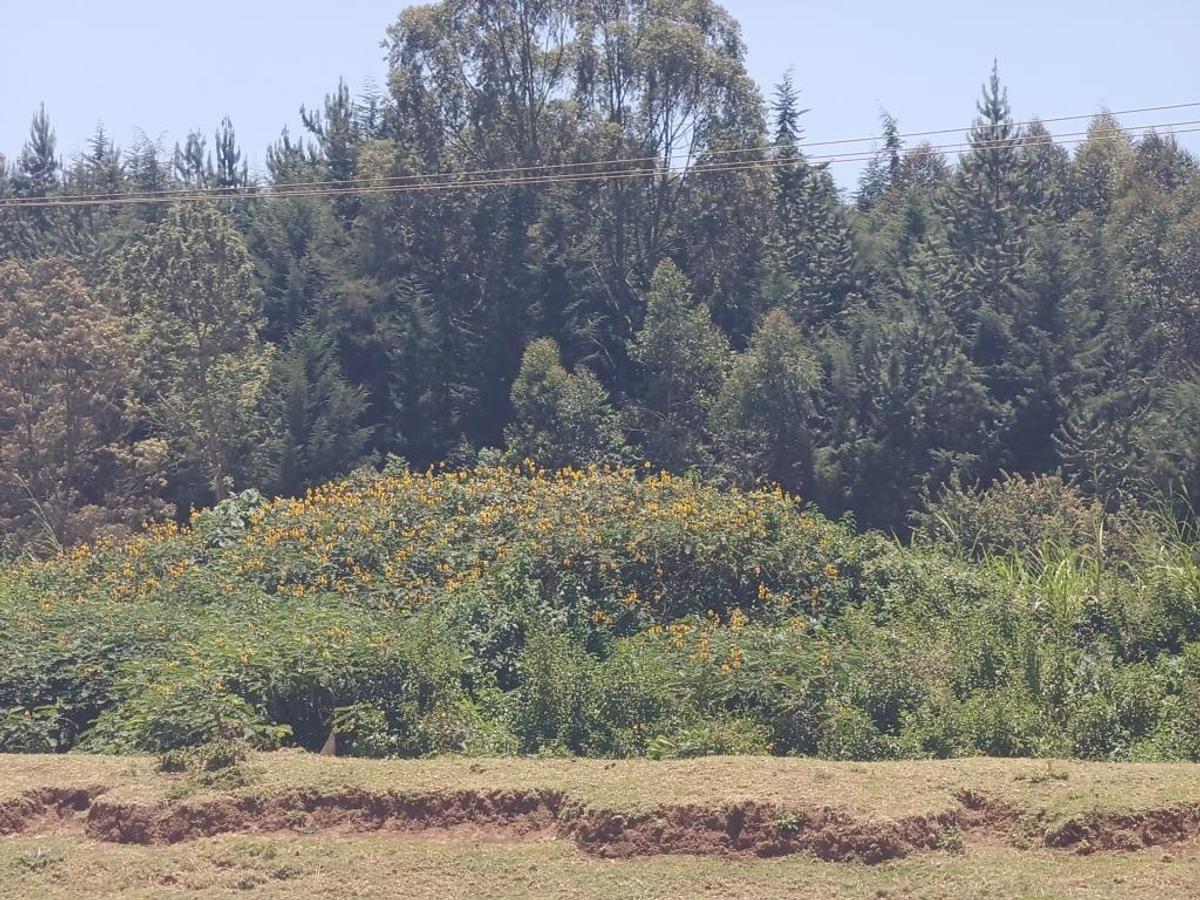 0.5 ac Commercial Land at Nairobi - Nakuru Highway - 5