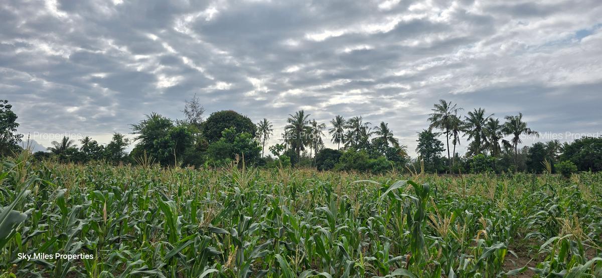 6 ac Land at Bomani - 6