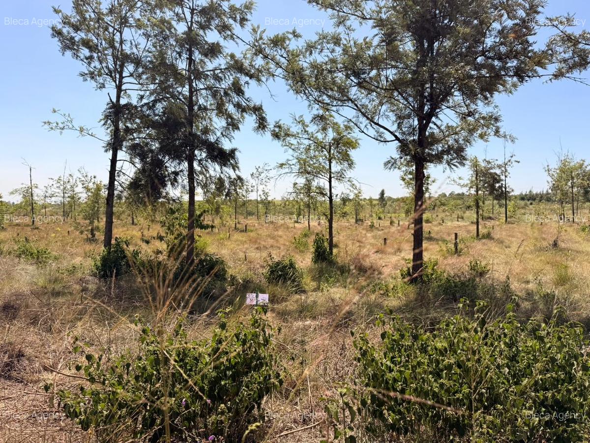 0.50 ac Commercial Property at Ruiru-Githunguri Road - 6