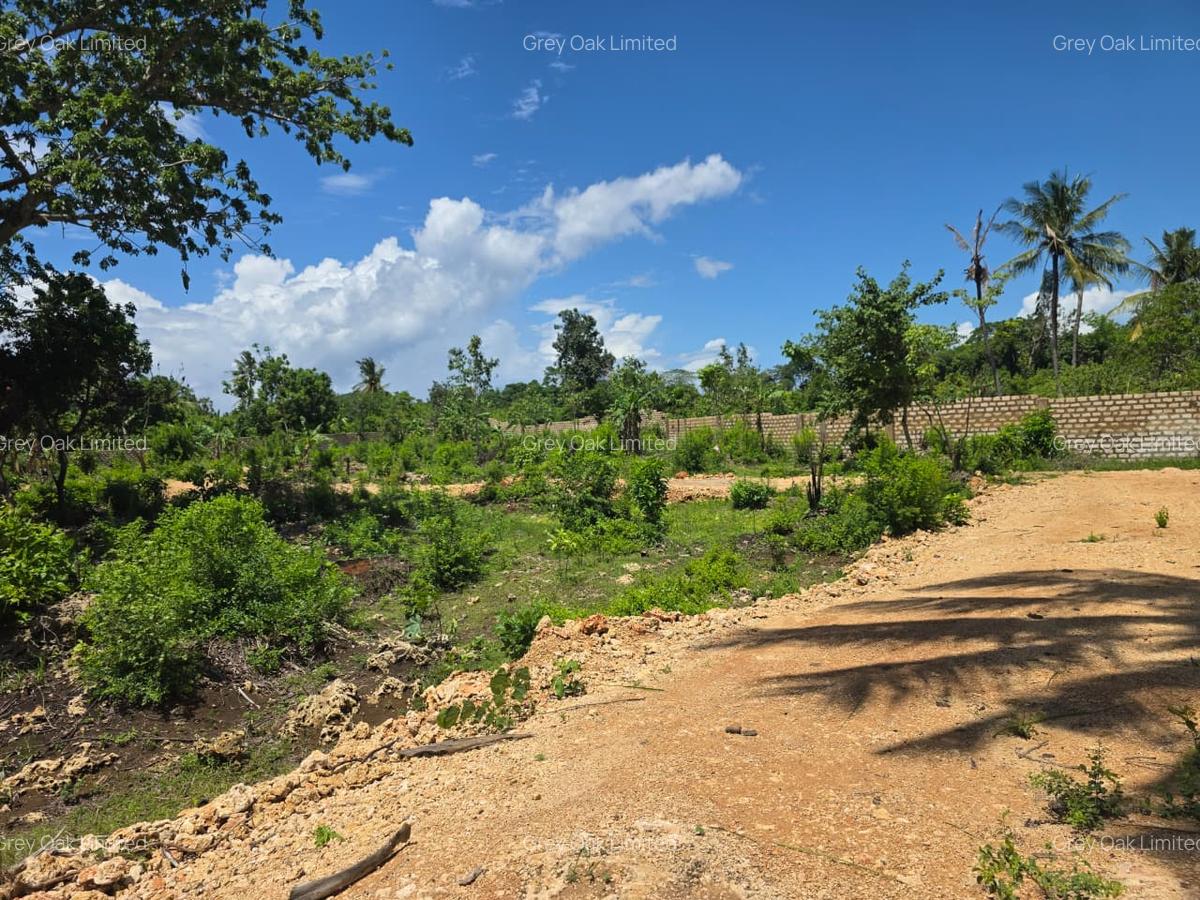 0.0405 ha Residential Land at Galu Beach Diani Beach Road - 9