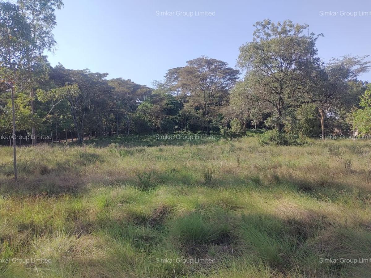 Residential Land at Off Forest Edge Rd - 1