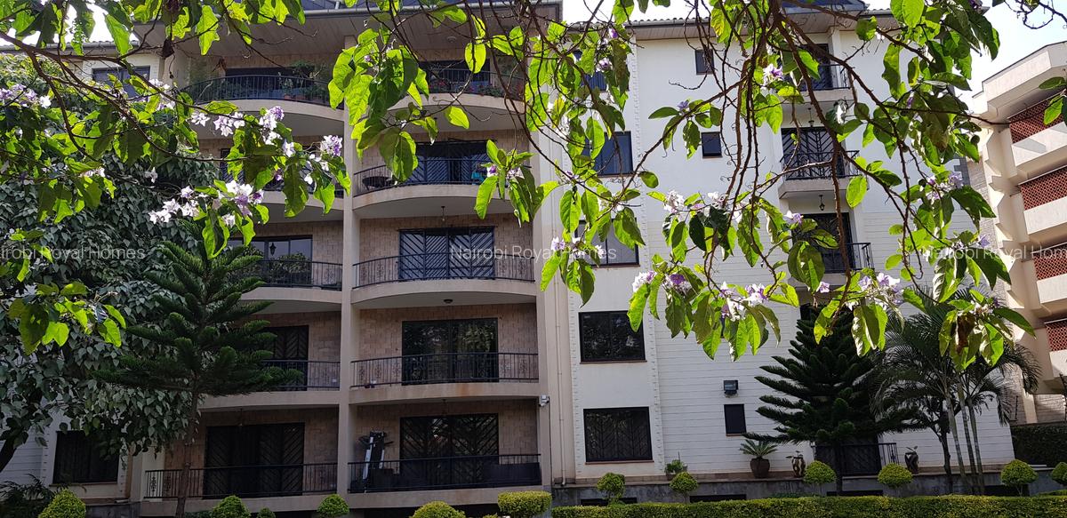 3 Bed Apartment with En Suite at Othaya Road - 10