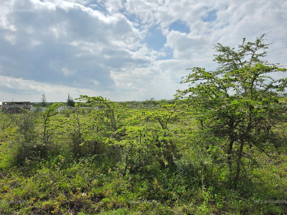 0.125 ac Land at Sakuda - 4