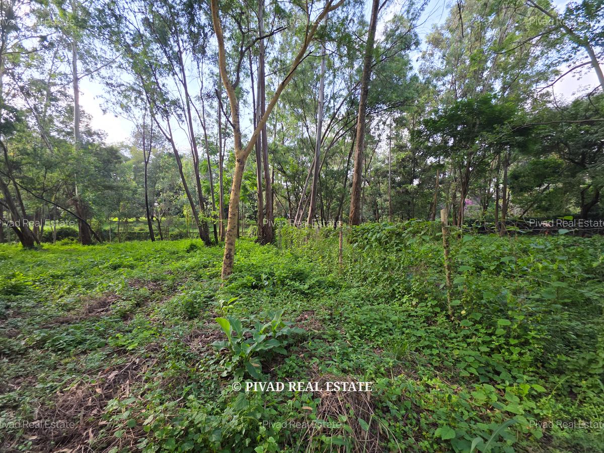 0.5 ac Land in Lake View - 5