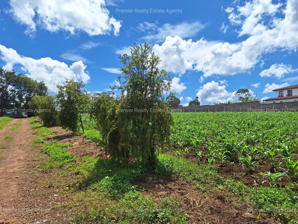 1 ac Residential Land at Tigoni - 2
