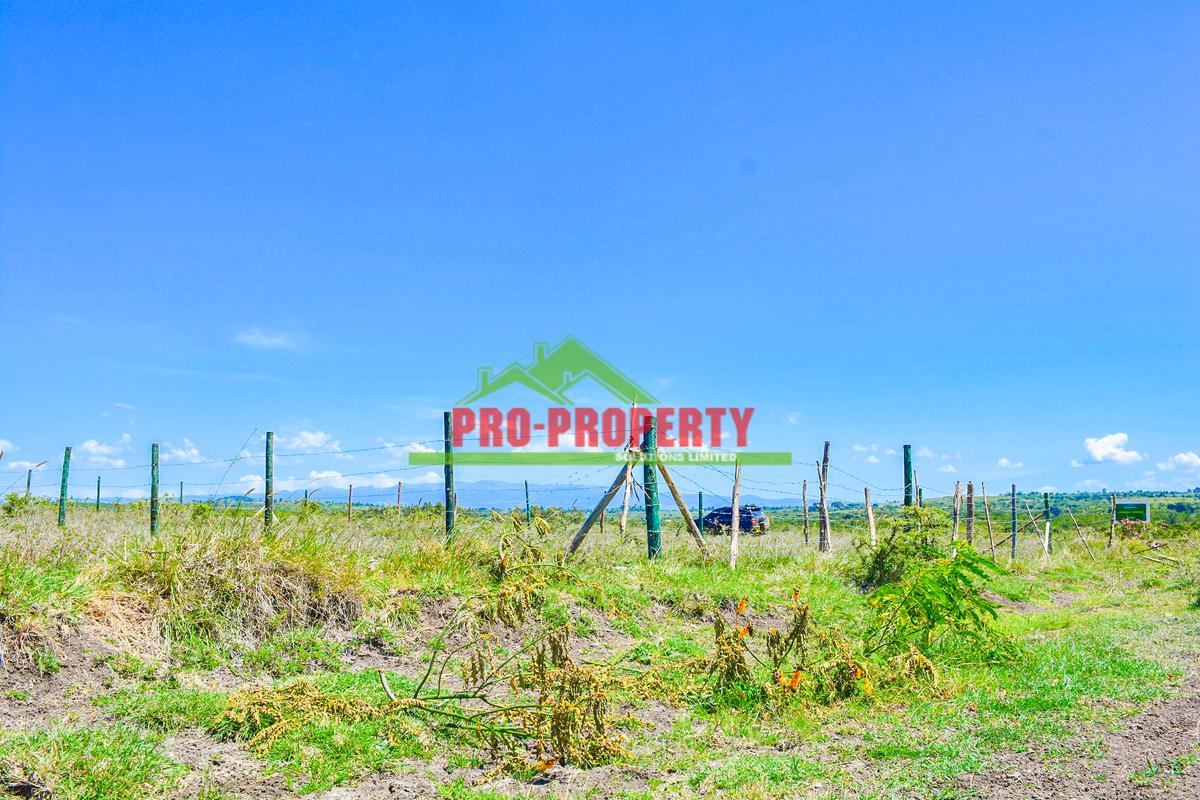 0.05 ha Residential Land at Naromoru - 7